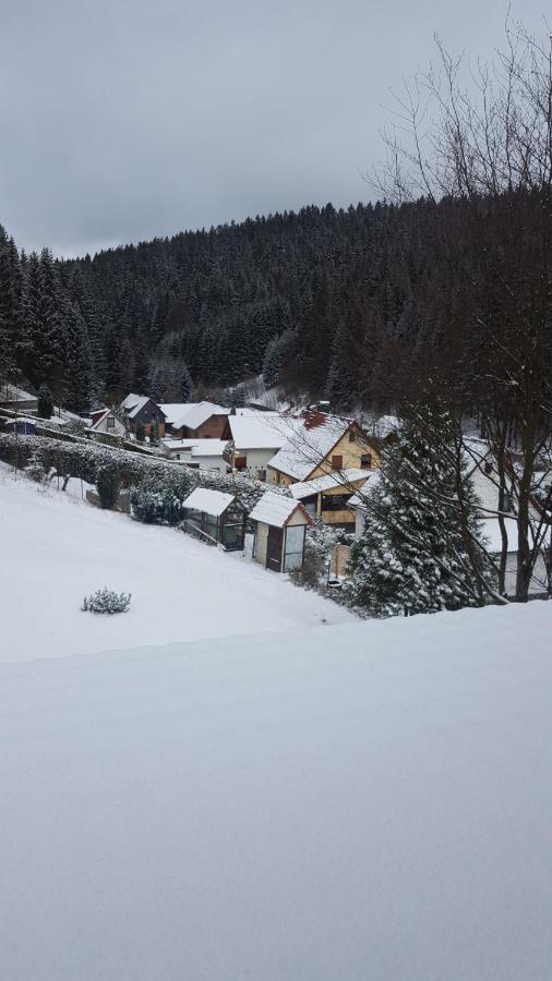 Monteurwohnung Aroba Fehrenbach Exteriér fotografie
