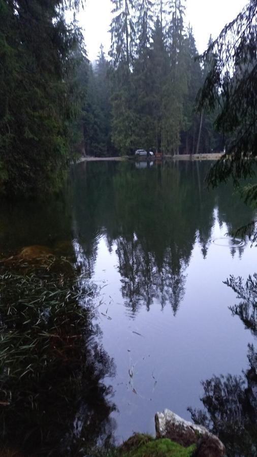 Monteurwohnung Aroba Fehrenbach Exteriér fotografie
