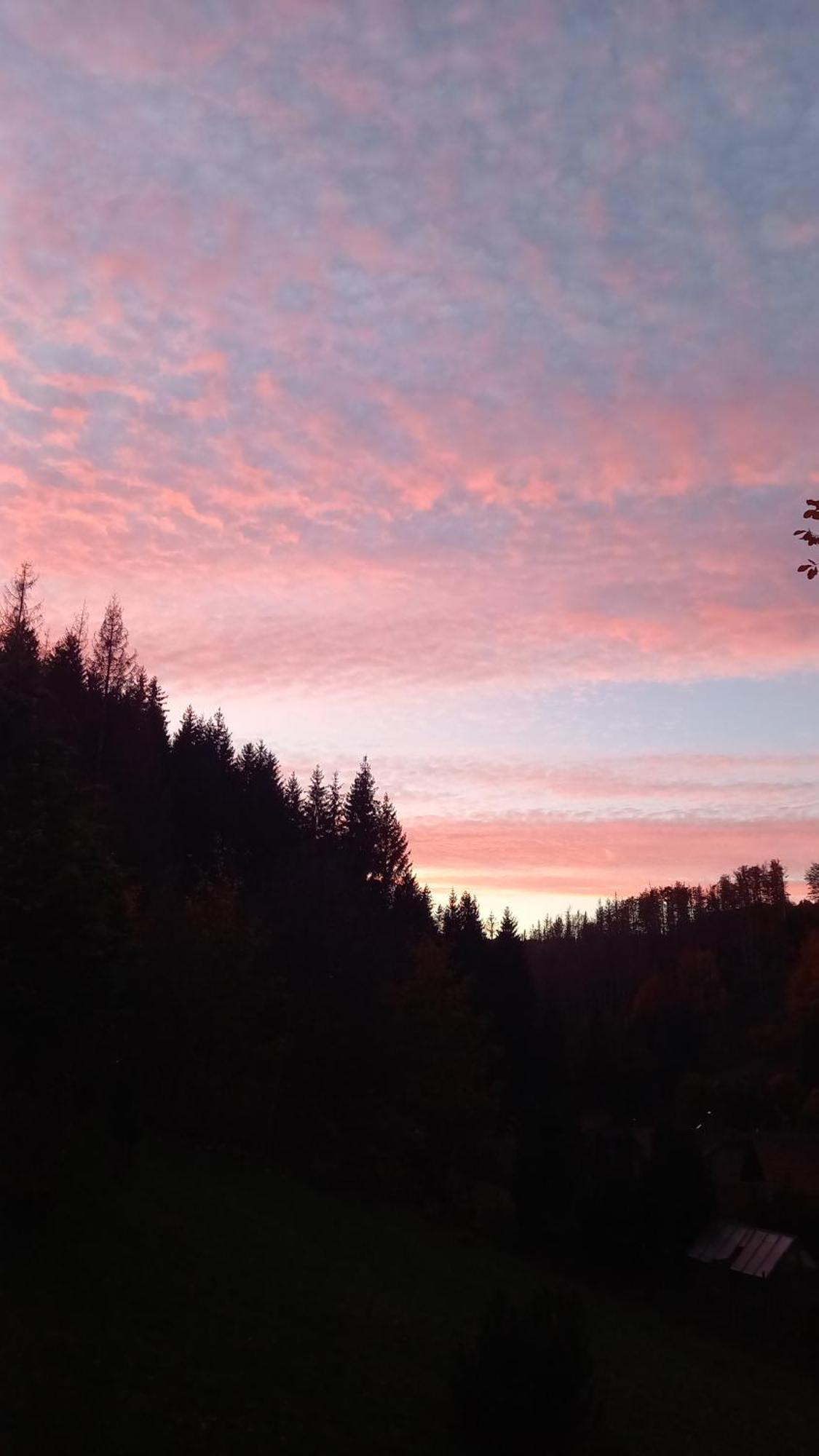Monteurwohnung Aroba Fehrenbach Exteriér fotografie
