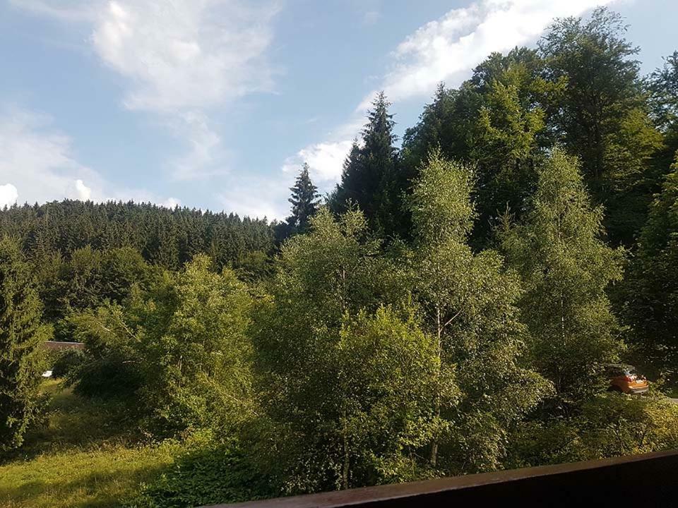 Monteurwohnung Aroba Fehrenbach Exteriér fotografie