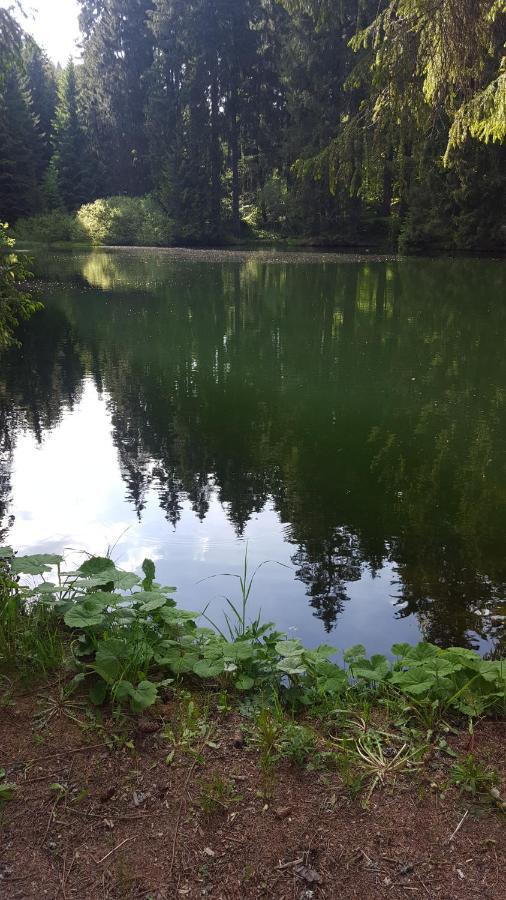 Monteurwohnung Aroba Fehrenbach Exteriér fotografie