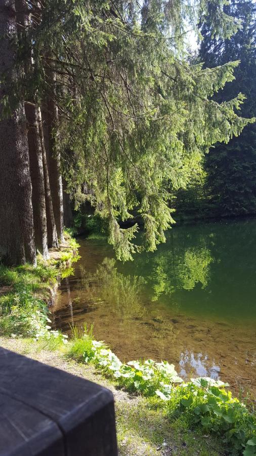 Monteurwohnung Aroba Fehrenbach Exteriér fotografie