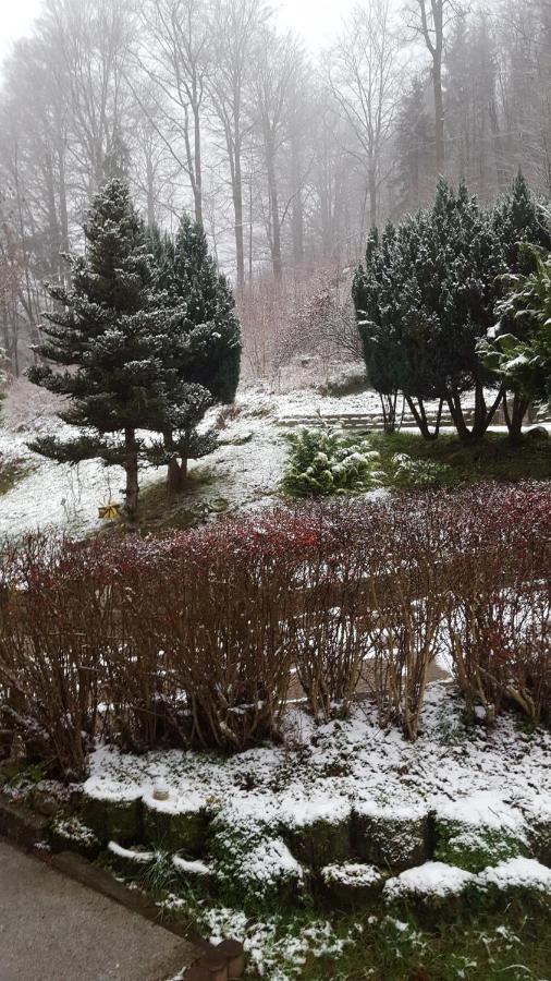 Monteurwohnung Aroba Fehrenbach Exteriér fotografie