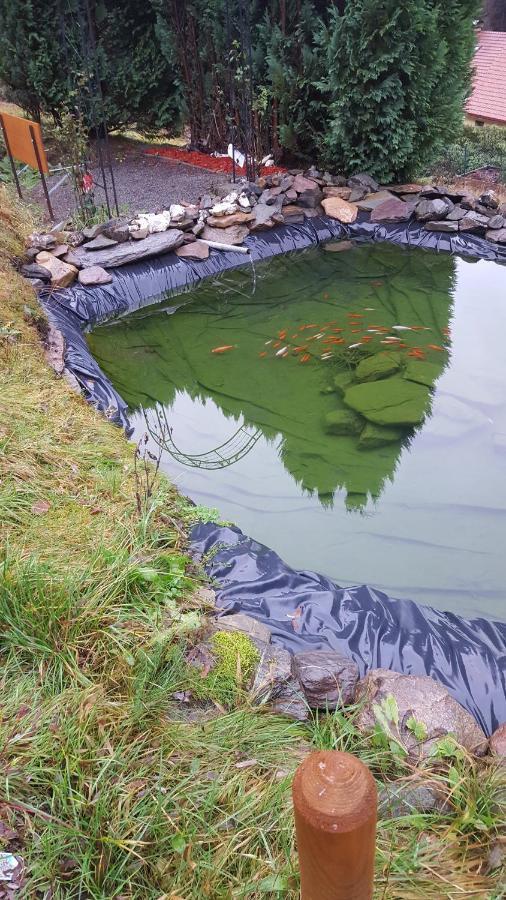 Monteurwohnung Aroba Fehrenbach Exteriér fotografie